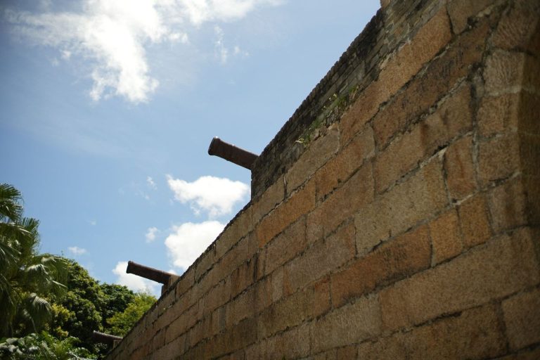 🔊📖 海浪下的守望：東涌所城的故事 